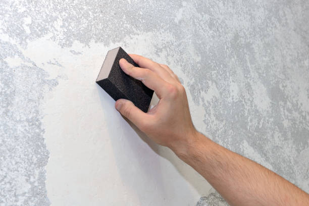 Best Comprehensive Air Testing for Mold Contaminants  in Dagsboro, DE