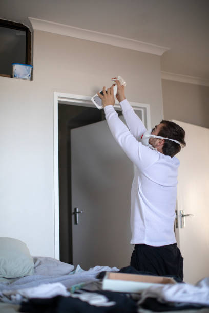 Best Attic Mold Removal  in Dagsboro, DE
