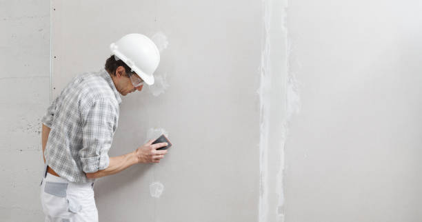 Best Residential Mold Inspection & Testing  in Dagsboro, DE
