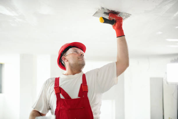 Best Emergency Mold Remediation  in Dagsboro, DE