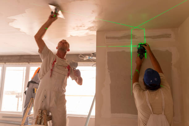 Best Mold Documentation for Insurance Claims  in Dagsboro, DE