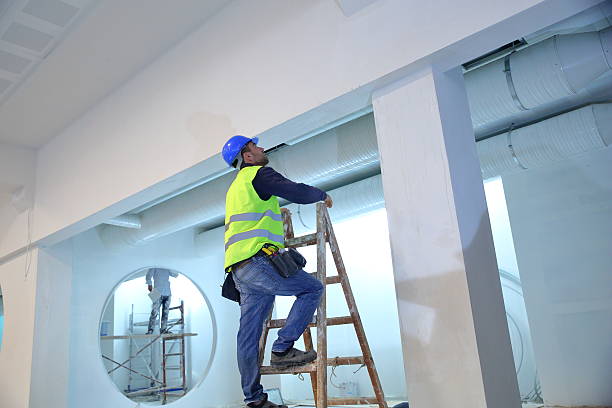 Best Crawl Space Mold Remediation  in Dagsboro, DE